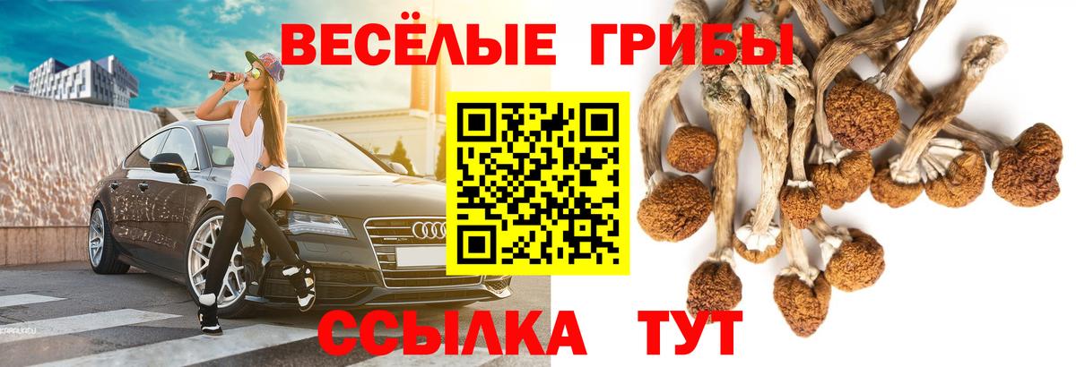 Псилоцибиновые грибы Psilocybe  Галлюциногенные грибы мухоморы  Вход с VPN  Карачаевск 