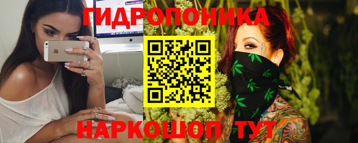  COCAIN Карачаевск